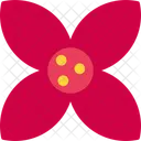 Blooming Blossom Botany Icon