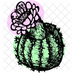 Blooming Cactus  Icon