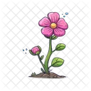 Blooming flower  Icon