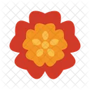 Blooming flower  Icon
