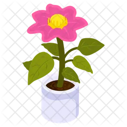 Blooming Flower  Icon