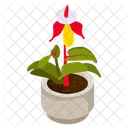 Blooming Flower  Icon