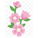 Blooming Pink Flower  Icon