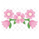 Blooming Pink Flower  Icon