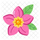 Blooming plumeria  Icon