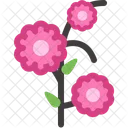 Blossom Flowering Garden Icon