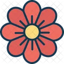 Blooming Decoration Flower Floral Icon