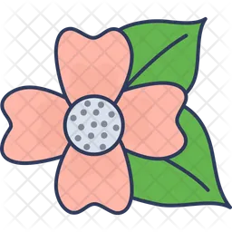 Blossom  Icon