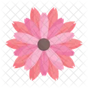 Blossom Lotus Flower Icon