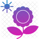 Blossom Butterfly Flower Icon
