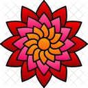 Blossom Chrysanthemum Colrful Icon