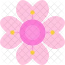 Blossom Flower Hydrangea Icon