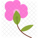 Blossom Flower Nature Icon