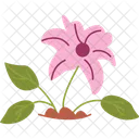 Blossom Breeze  Icon