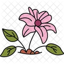 Blossom Breeze  Icon