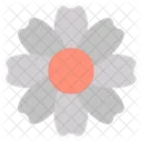 Blossom Flower  Icon
