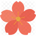 Blossom Flower  Icon