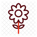 Blossom Flower Nature Icon