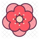 Blossom Flower Peach Icon