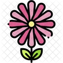 Blossom  Icon