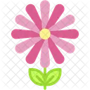 Blossom Plant Nature Icon