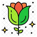 Blossom  Icon