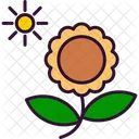 Blossom  Icon