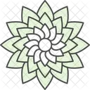 Blossom Chrysanthemum Colrful Icon