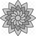 Blossom Chrysanthemum Colrful Icon