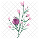 Blossom Pink Flower Icon
