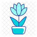 Blossoming flower in pot  Icon
