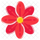 Blossoms Cherry Berry Fruit Icon