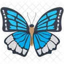 Morpho Fauna Selvatica Esapode Icon