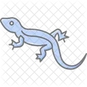 Blue agam  Icon