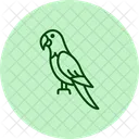 Blue and gold macaw  Icon
