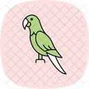 Blue and gold macaw  Icon