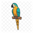 Blue And Yellow Macaw Macaw Bird Icon