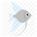 Blue Angelfish Sea Creature Animal Icon