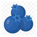 Blue Berries  Icon