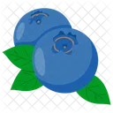 Blue berries  Icon