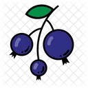 Blue Berry Fruit Healthy Icon