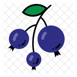 Blue Berry  Icon