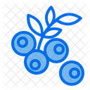 Blue Berry Healthy Food Fruit Icon