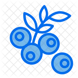 Blue Berry  Icon