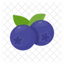 Blue Berry Food Fruit Icon