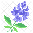 Blue Bonnet Flower Blossom Icon
