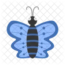 Blue butterfly  Icon