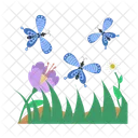 Blue butterfly  Icon