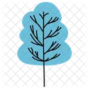 Blue Cedar Tree Forest Icon