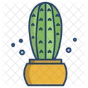 Blue Columnar Cactus Cactus Pot Cactus Plant Icon